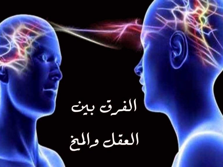 الفرق بين العقل والمخ