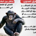 ما هو مرض جدري القرود؟
