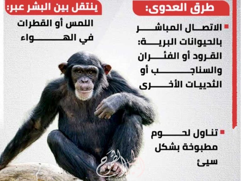 ما هو مرض جدري القرود؟