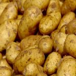 أبرز فوائد البطاطا