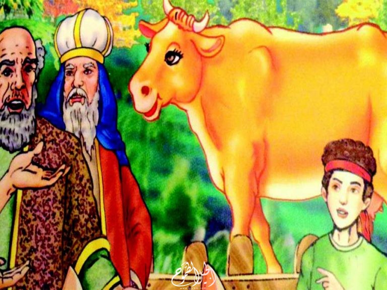 قصة البقرة المذكورة في سورة البقرة