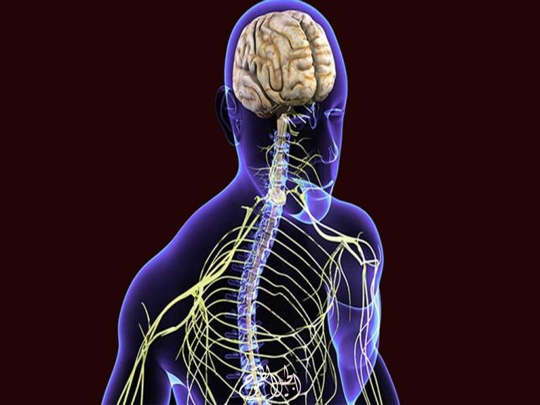 اضطرابات الجهاز العصبي الأعراض وطرق الوقاية  