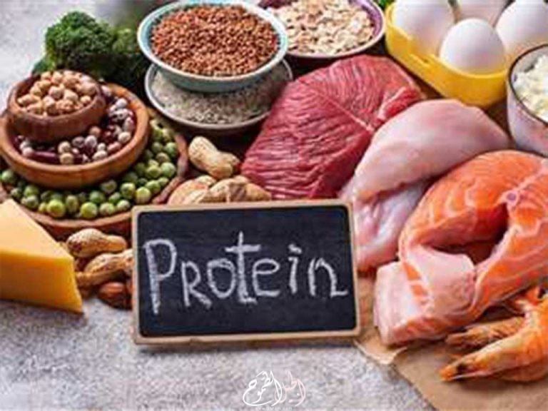  فوائد البروتينات وأضرارها