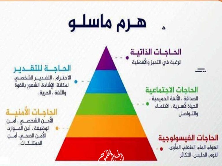 معلومات عن هرم ماسلو،